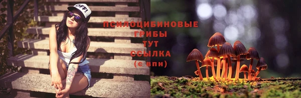 твердый Пересвет