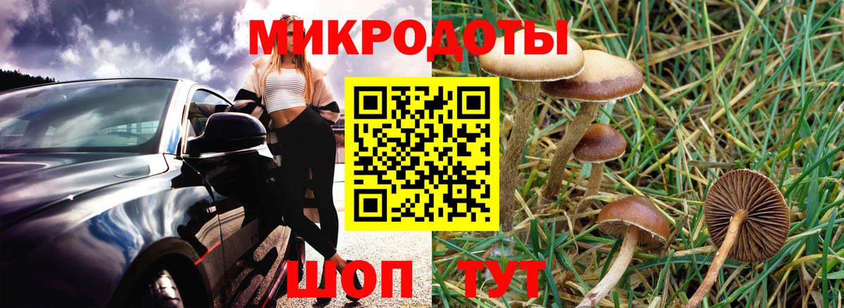 Псилоцибиновые грибы Psilocybe  Вход с VPN  Жуковский 